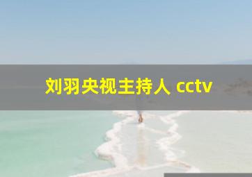 刘羽央视主持人 cctv